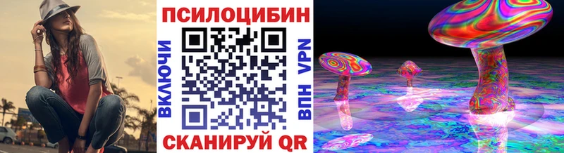 Псилоцибиновые грибы Cubensis Сокол