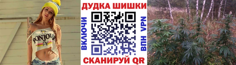 omg зеркало  наркота  Сокол  Бошки Шишки MAZAR 